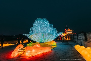 _ZWJ0725