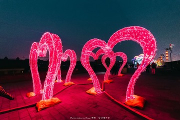 _ZWJ0730