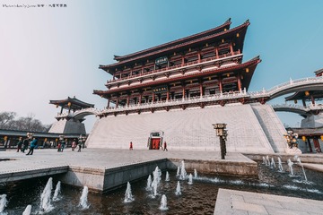 _ZWJ0857