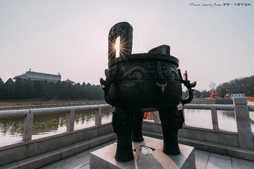 _ZWJ0867