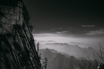 _ZWJ1647