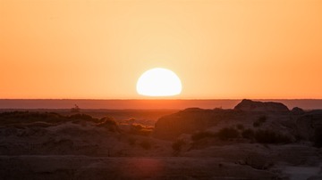_DSC1105