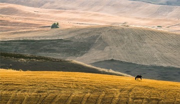 _DSC4924-1_