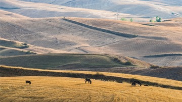 _DSC4901