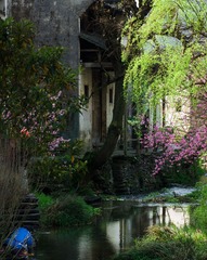 2006.DSC_3715@20060327婺源RAW
