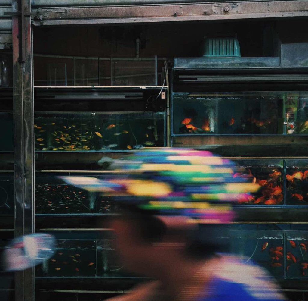 一页热闹一夜荒芜