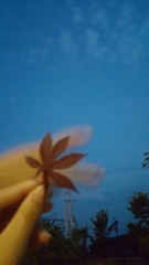 9AE70650-1E31-493E-A4B3-3EF7017A2620/L0/001