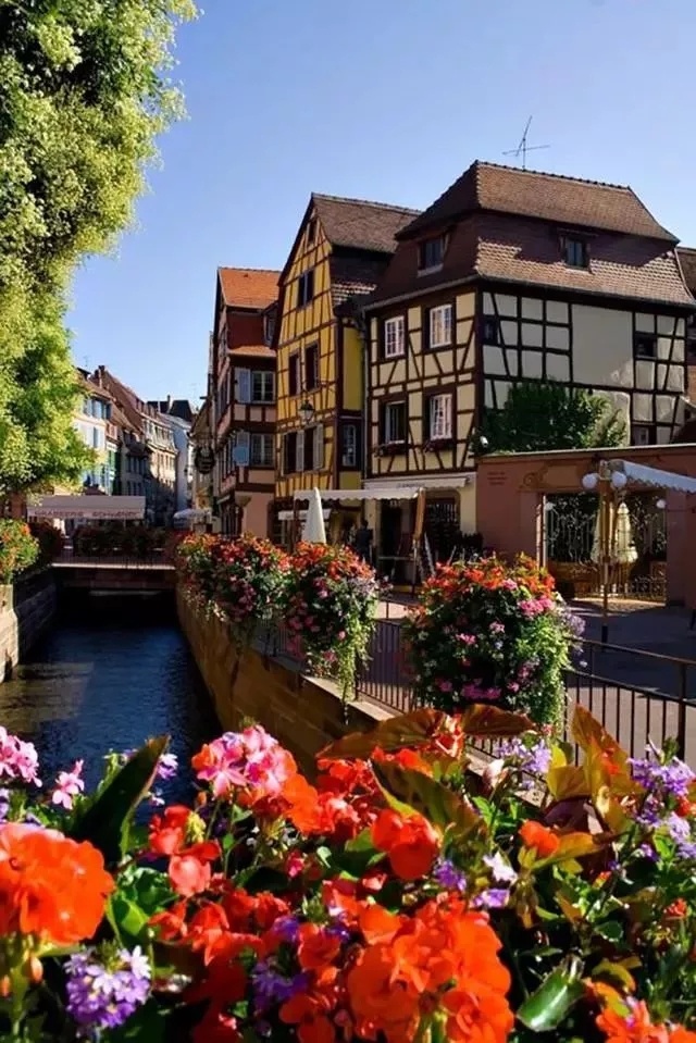 花城- 水云轩竹影荷风 - 图虫