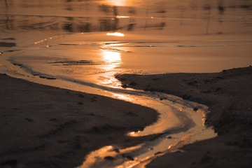 _SRP3651