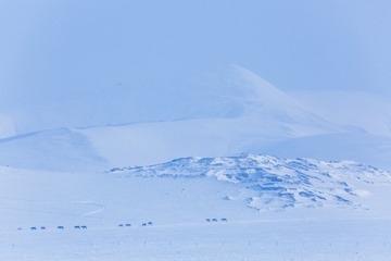 0C1A0557_1