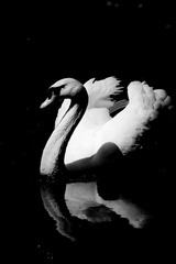 IMG_0969_