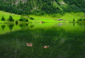 Königssee