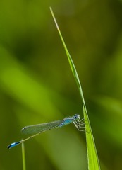 ZYJ_9939_2