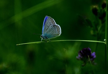 IMG_20160627_202502