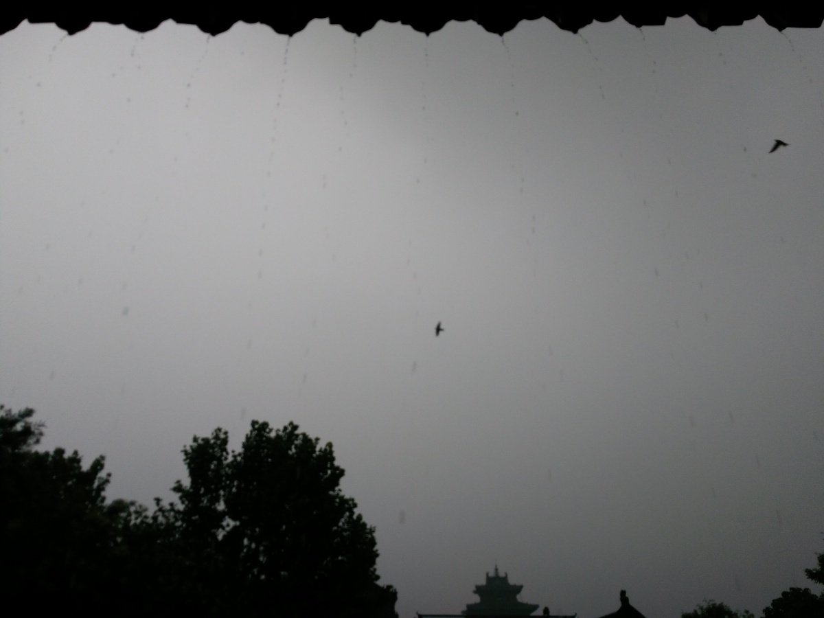 雨纷纷 旧故里草木深 - 手机, 风光, 黑白 - 宋松松