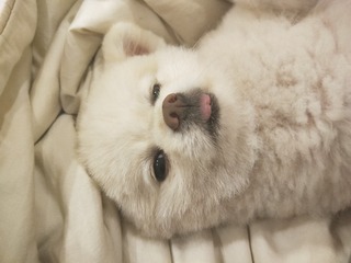 1720330
