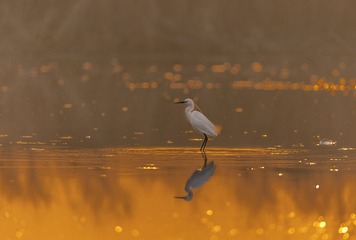 1770159
