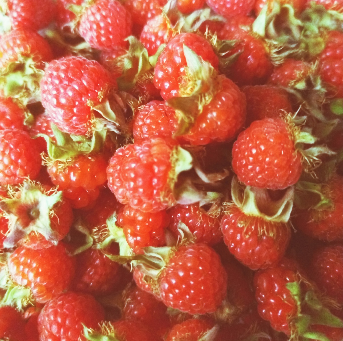 泡儿,托么,你们叫它什么?_?