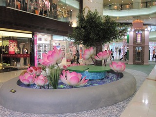 comfortable shopping