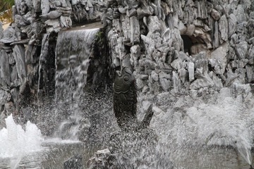 如鱼得水