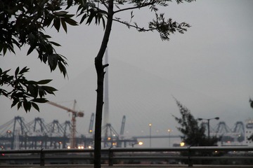 evening