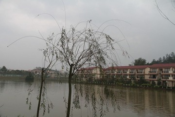 original 10