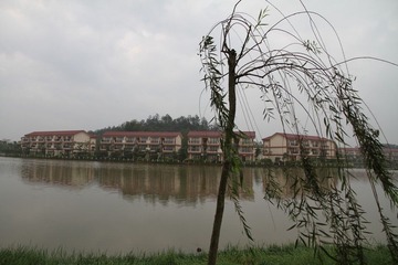 original 06