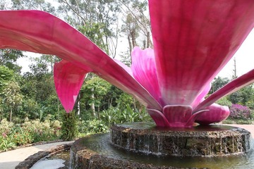 strange flower