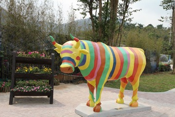 miss cow