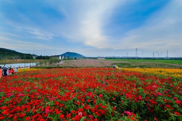 20160627-03