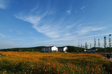 P6260073