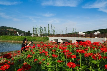 P6260077
