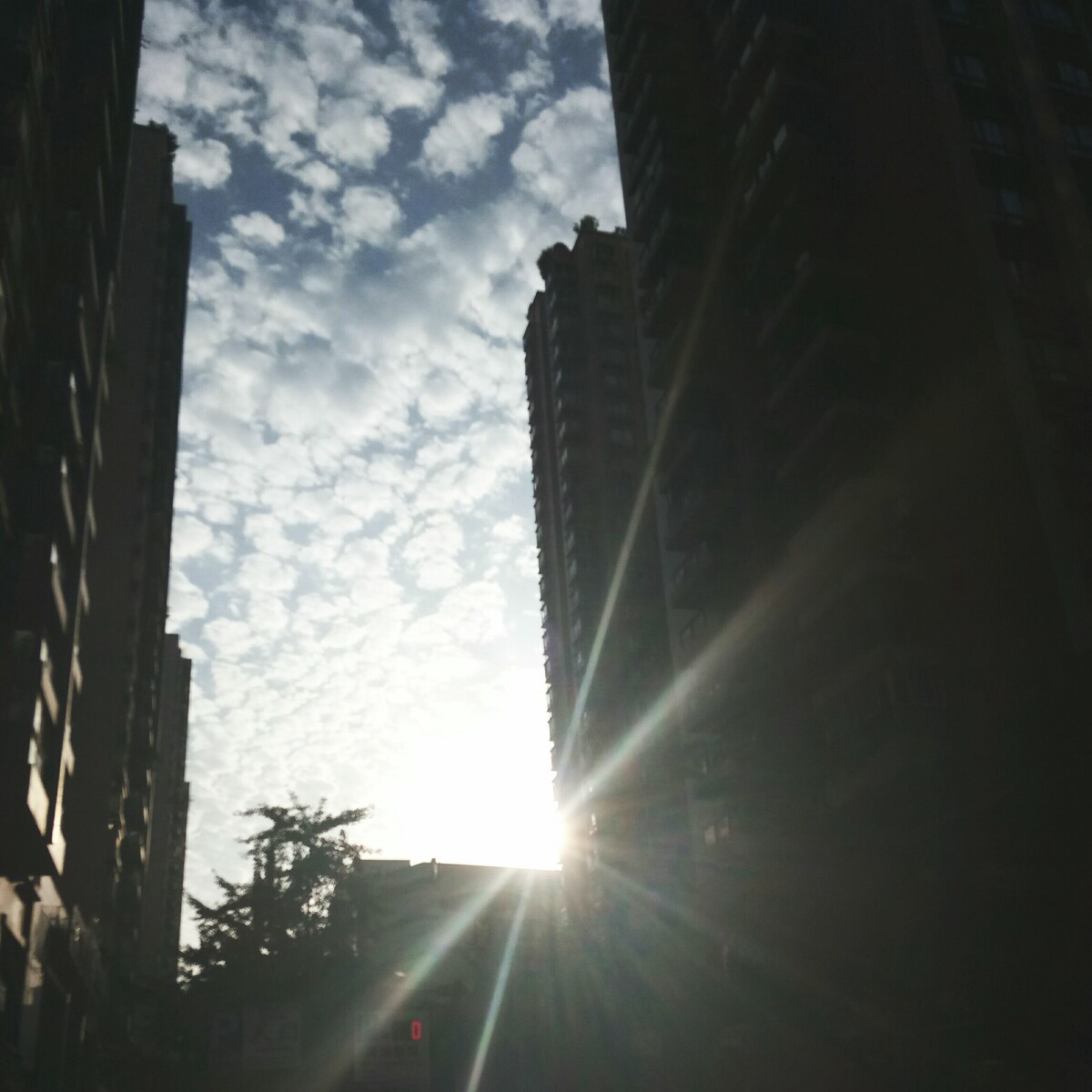 希望成为照进你心的那束光