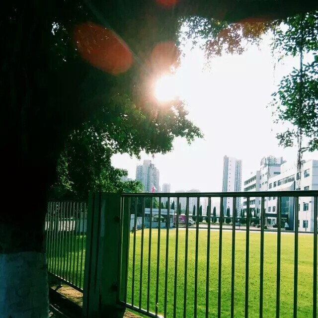 想和你一起活到八十岁