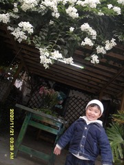 E743962C-574A-41B9-B125-206CB87F4766/L0/001