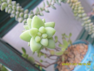 1F49755B-B0E2-499D-A5EA-A09F89D4A429/L0/001