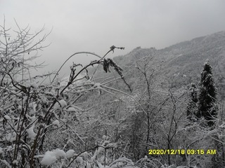 2A84A4BE-2BD9-41DB-9170-105EFD475BB2/L0/001