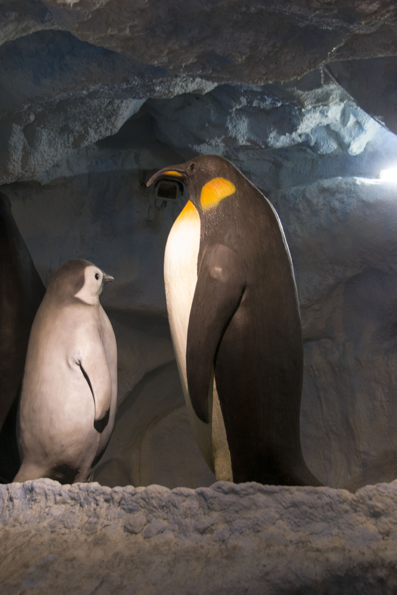 珠海长隆海洋王国