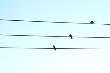 20151122080651