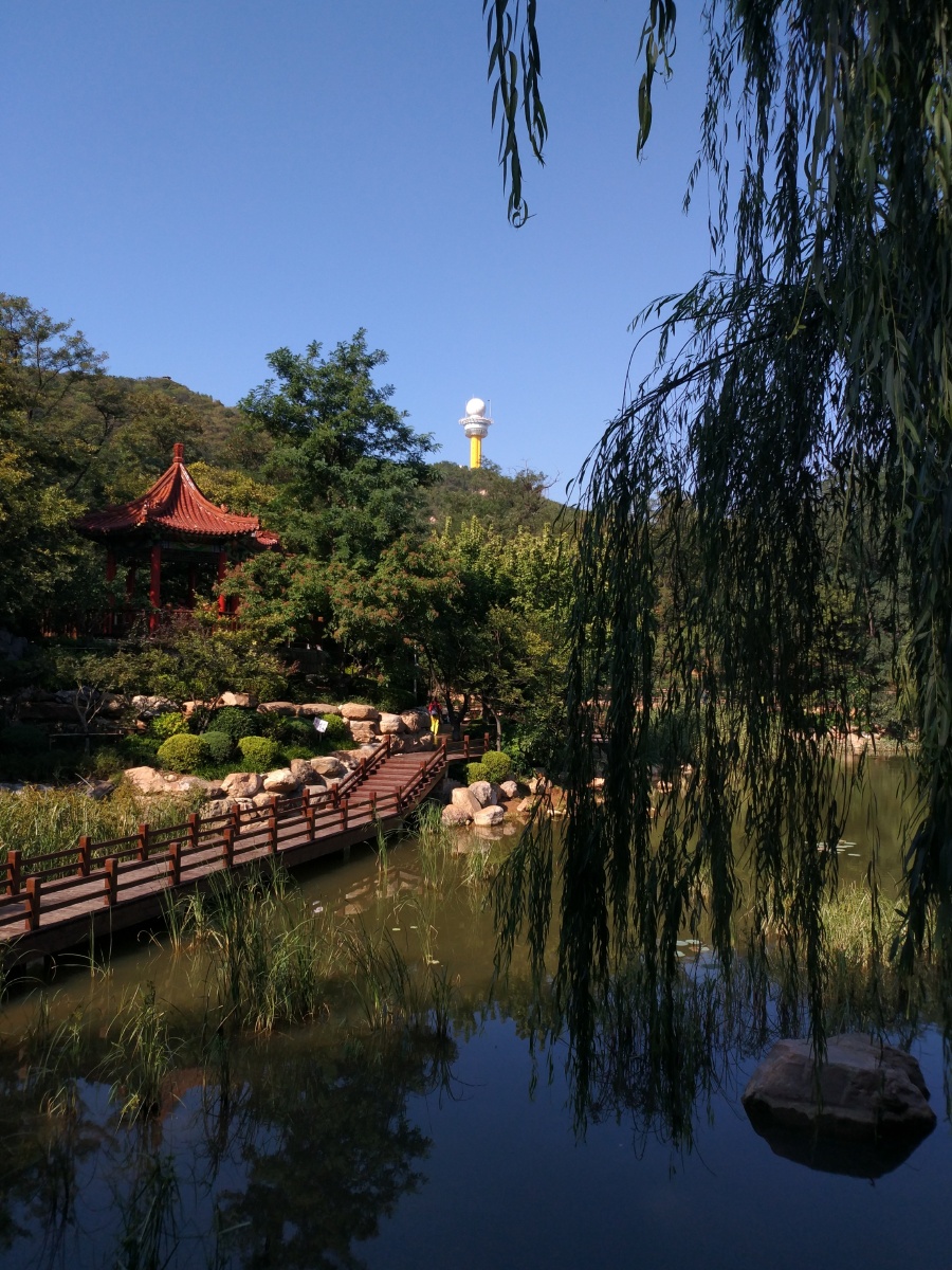 新整修的老公园