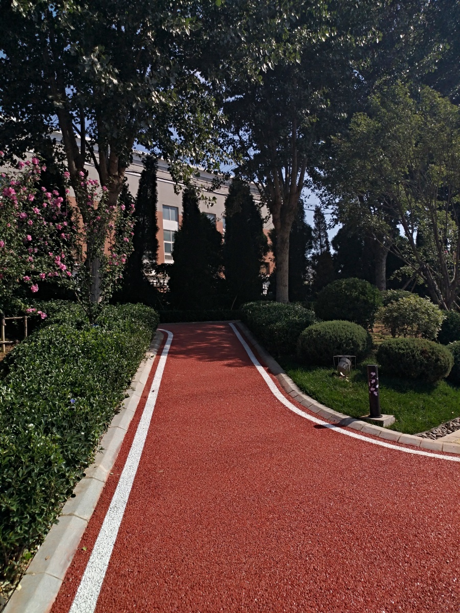 大连马栏子河带状公园的小路