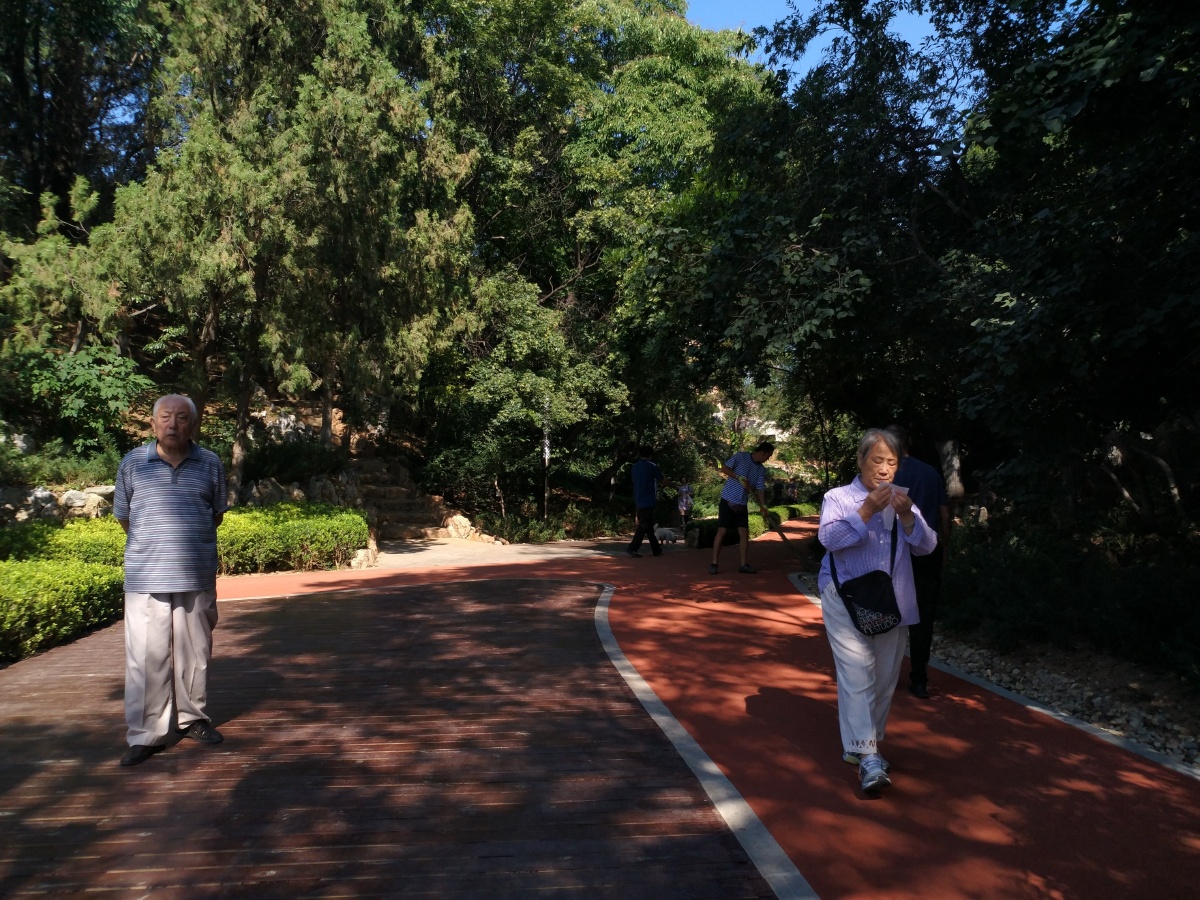 新整修的老公园