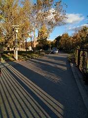 IMG_20181027_065550