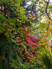 IMG_20181025_103314_HDR