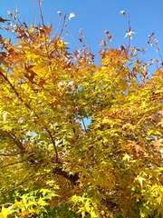 IMG_20181031_092856