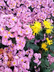 IMG_20181102_143511_HDR