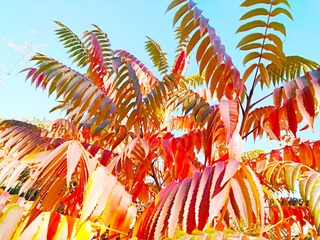 IMG_20181018_145749