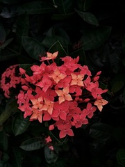 IMG_20181024_073446