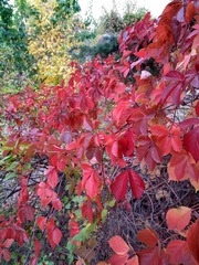 IMG_20181016_131122_HDR