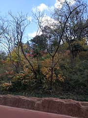 IMG_20181026_145653